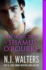 The Seduction of Shamus  O'Rourke