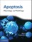 Apoptosis