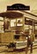 Chicago Trolleys
