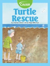 Turtle Rescue