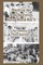 Blacks in the Army Air Forces During World War II