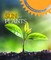 The Sun and Plants