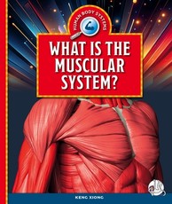 What Is the Muscular System?