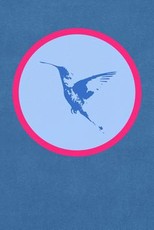 Hummingbird In Flight