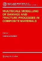 Multiscale Modelling of Damage and Fracture Processes in Composite Materials