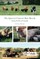 The Quest to Conserve Rare Breeds