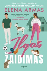 Knygos.lt blitz kaina