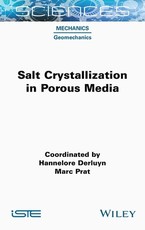Salt Crystallization in Porous Media