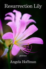 Resurrection Lily