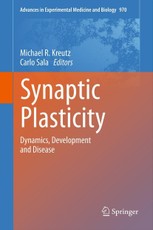 Synaptic Plasticity