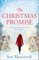 The Christmas Promise