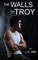 The Walls of Troy