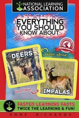Everything You Should Know About