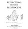 Reflections from the Pleistocene