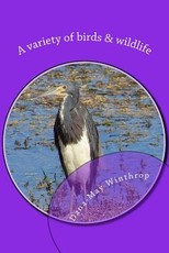 A variety of birds & wildlife