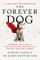 The Forever Dog