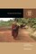 Living with the Vinaya