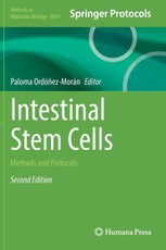 Intestinal Stem Cells