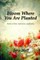Bloom Where You are Planted
