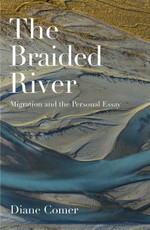 Braided River