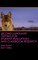 Second Language Testing for Student Evaluation and Classroom Research (HC)