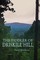 The Fiddler of Driskill Hill