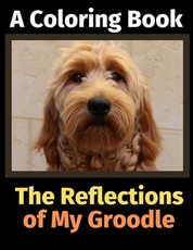The Reflections of My Groodle