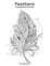 Feathers Coloring Book for Grown-Ups 1