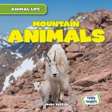 Mountain Animals