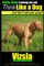 Vizsla, Vizsla Training AAA AKC - Think Like a Dog - But Don't Eat Your Poop!