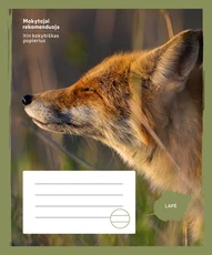 Sąsiuvinis „Lapė“, 24 lapai, linijomis