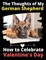 The Thoughts of My German Shepherd