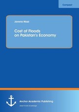 Cost of Floods on Pakistan's Economy
