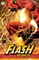 The Flash: Rebirth