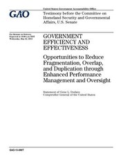 Government efficiency and effectiveness