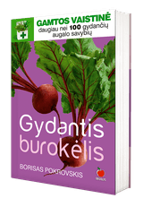 Gydantis burokėlis