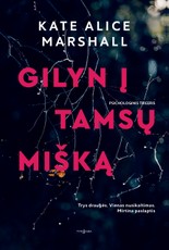 Gilyn į tamsų mišką