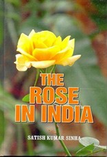 The Rose in India