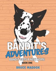 Bandit's Adventures