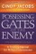 Possessing the Gates of the Enemy