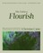 The Faith to Flourish Bible Study Guide Plus Streaming Video