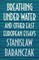 Breathing under Water and Other East European Essays