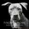 Finding Home
