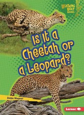 Is It a Cheetah or a Leopard?