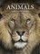 Encyclopedia of Animals