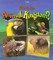 What Is the Animal Kingdom?