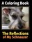 The Reflections of My Schnauzer