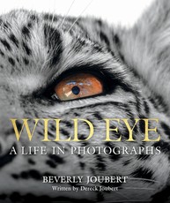 Wild Eye