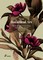 New Botanical Art