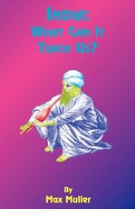 India: What Can It Teach Us